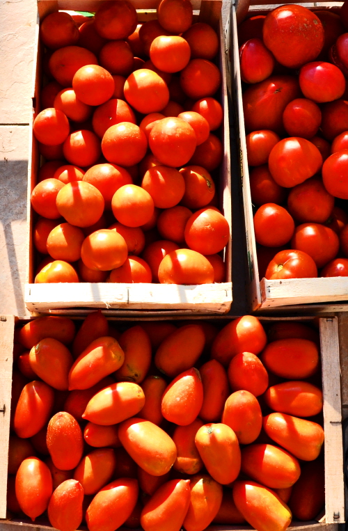 Tomatoes for lunch
